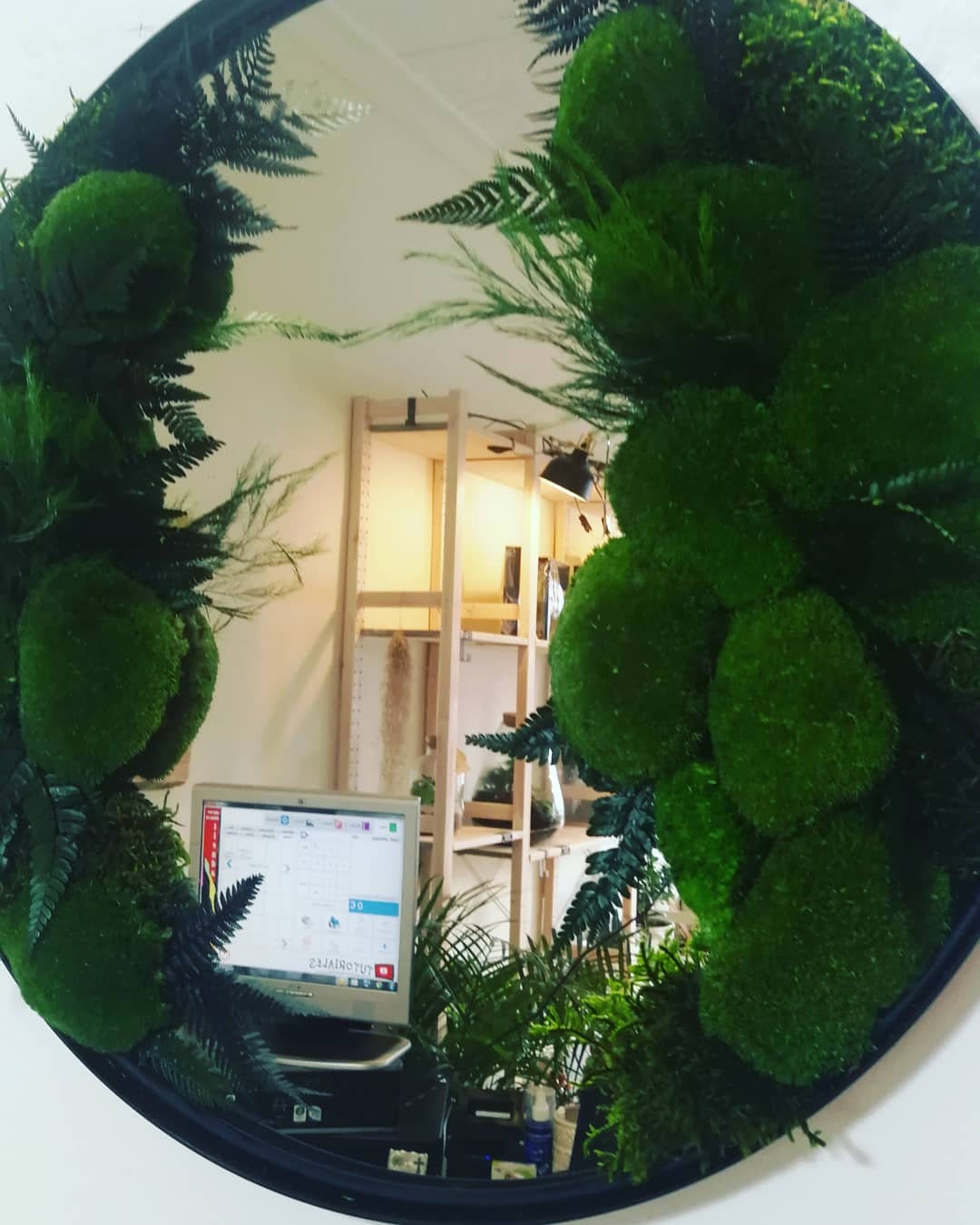 Mirror Round Large Preserved Moss Stabilized Moss Etsy