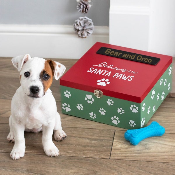 Santa Paws Christmas Eve Box | For Dogs and Cats