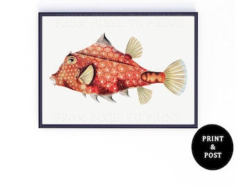 216. Vintage Fish Illustration - Anon - Coral Deep Sea Fish Art Print Poster - A3, A4, A5 - Unusual Whimsical Print - Tomtombo Louis Renard?