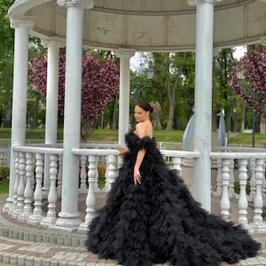 black swan inspired prom dress Wedding dress of the black swan Opera