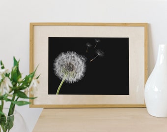 Dandelion - Poster Art