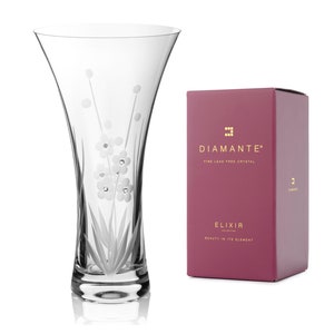 Könnte beinhalten: Eine klare Glasvase mit einem floralen Design, das in die Seite graviert ist. Die Vase ist Teil der Diamante Elixir Collection, die aus feinem bleifreiem Kristall hergestellt wird.