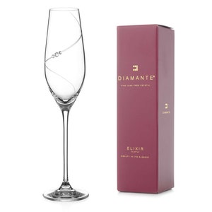 Silhouette Champagne Flutes Adorned with Swarovski Crystals - Single glass