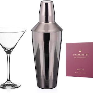 Auris Martini Shaker and Martini Glass Set