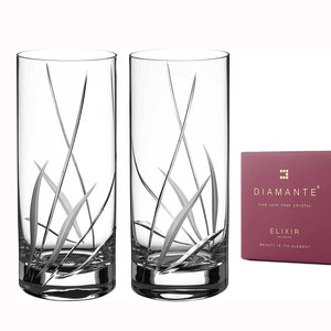 DIAMANTE Crystal High Balls or Long Cocktail Glasses – Meadow Collection – Gift Box of 2