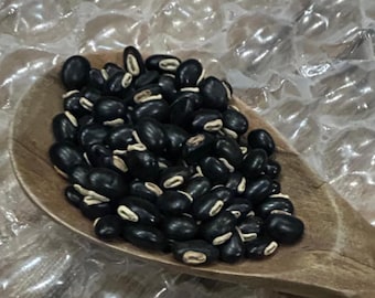 Mucuna Pruriens sammetsbönwaspe.