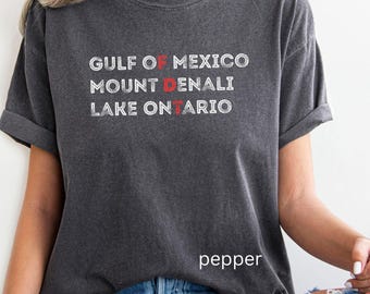 Gulf of Mexico Mount Denali Lake Ontario Tee, FDT Lake Ontario Shirt, Funny Great Lakes, Comfort Colors Tshirt