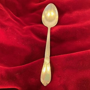 May include: A silver spoon with an oval bowl and a decorative handle, set against a deep red velvet background. The spoon's surface reflects light, highlighting its polished finish and intricate design.