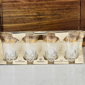 Vintage Floral Gläser 4er Set 11 Unzen Original Box