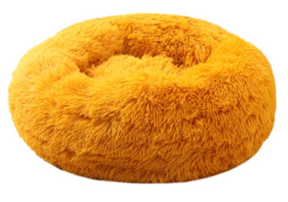 gold dog bed