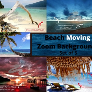 Beach Motion Zoom Background | Moving Palm Trees & Sunset (5 MP4 Files)
