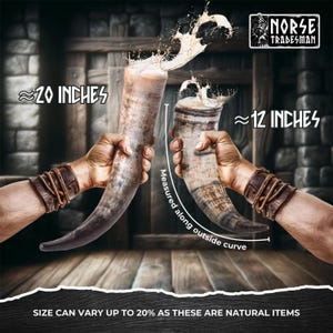 Viking Drinking Horn with Fitted Stand & Genuine Leather Belt Holster - Multiple Sizes Options - Pick Your Color image 5