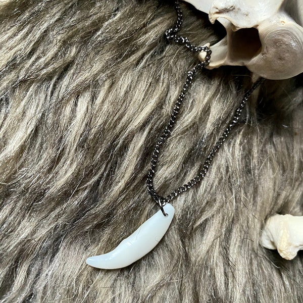 Coyote Fang Necklace