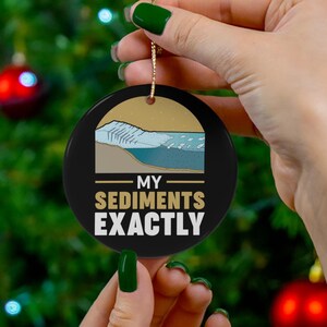 Adorno navideño de geología Adorno de geología Regalo divertido de geología Adorno de geólogo Adorno de ciencia de caza de rocas Ciencias de la Tierra Geociencia