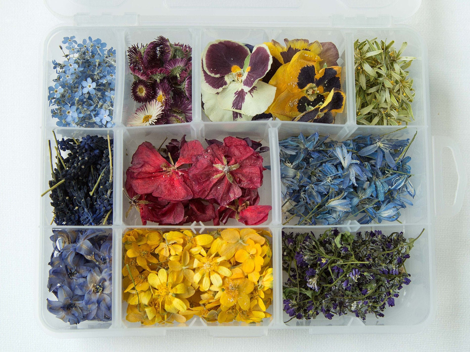 A Large Set Of Dried Pressed Flowers Dried Flowers For Etsy