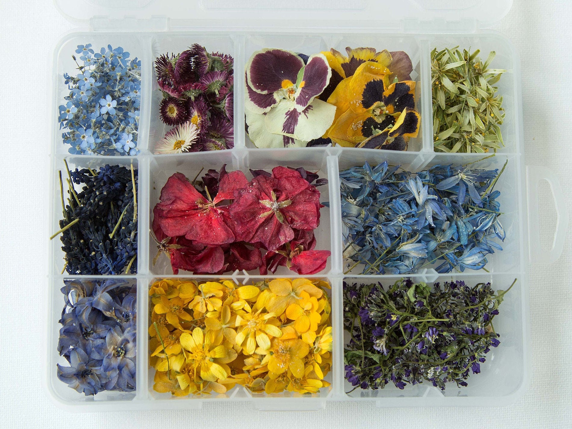 Pressed flowers for sale uk
