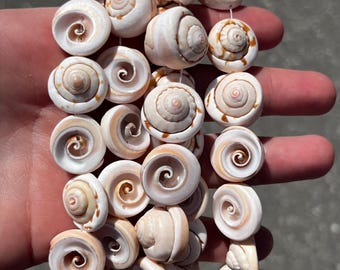 Puede incluir: Un collar de conchas marinas naturales en forma de espiral, en varios tamaños y tonos de blanco y beige. Las conchas están ensartadas, mostrando sus patrones y texturas únicos. Ideal para la creación de joyas o la decoración costera.