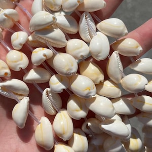 13mm x 19mm Natural Cowrie Shell Beads - Full Strand - 15&quot;