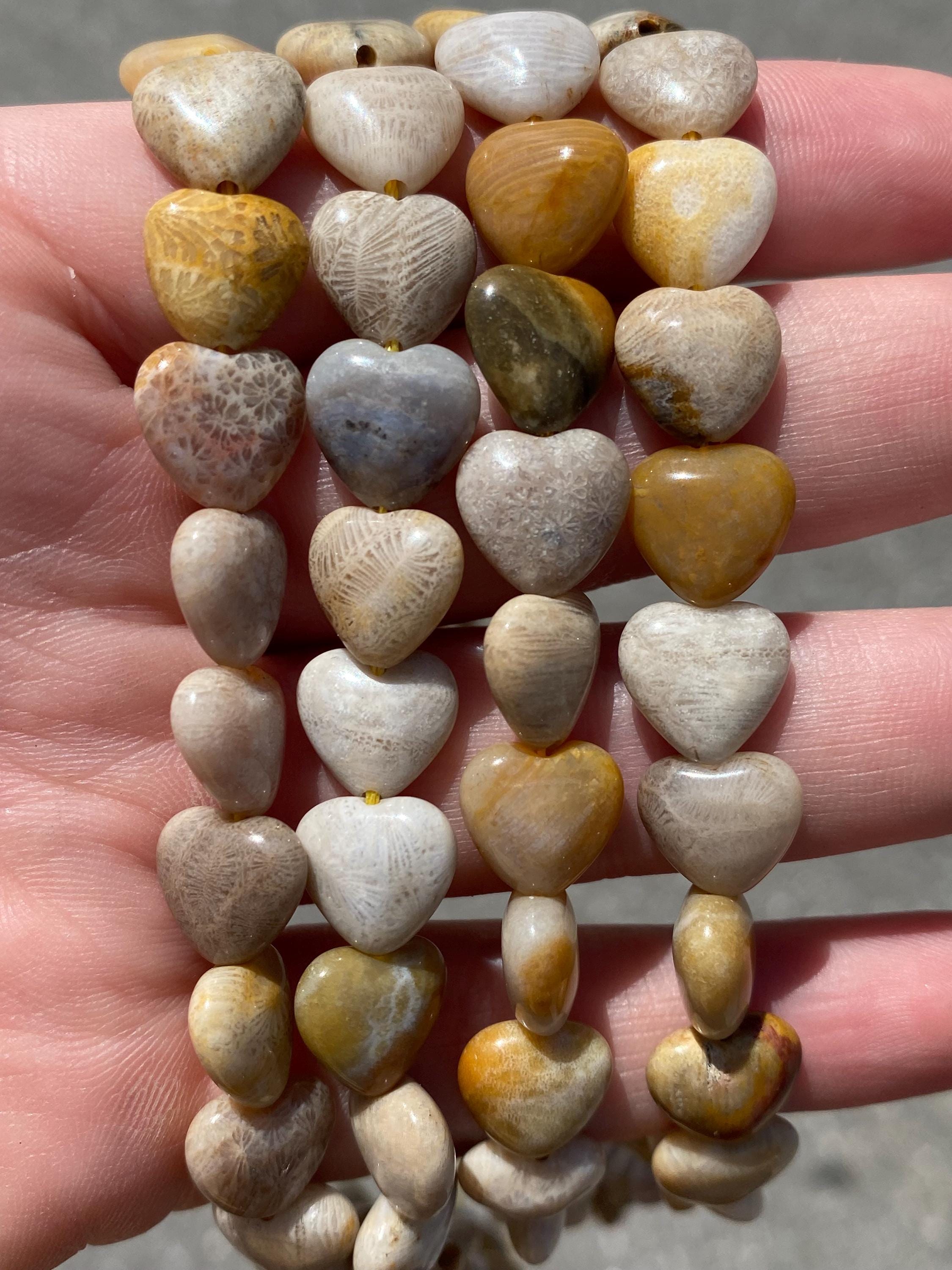 Fossil Coral Heart - Etsy
