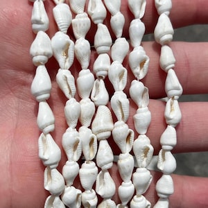 Peut inclure: Un collier composé de petits coquillages blancs en spirale enfilés verticalement. Chaque coquillage présente une forme lisse et effilée avec une ouverture distincte, créant une ligne uniforme et texturée d'éléments marins blancs.