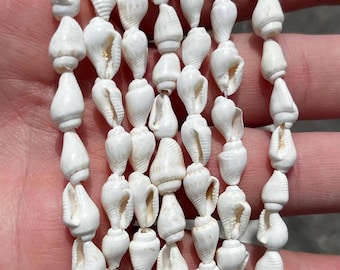 Puede incluir: Un hilo de pequeñas conchas marinas blancas en espiral ensartadas en una disposición vertical. Cada concha presenta una forma lisa y cónica con una abertura distinta, creando una línea uniforme y texturizada de elementos marinos blancos.