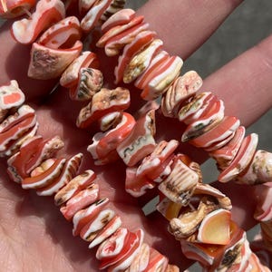 Peut inclure: Un brin de perles de coquillage rose, blanc et brun. Les perles sont de forme irrégulière et ont un aspect naturel et organique.