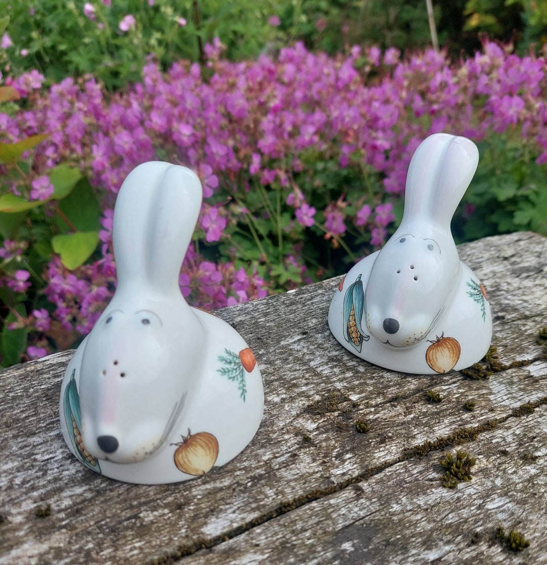 Villeroy & Boch French Porcelain Cruet or Condiment Set in the Form of