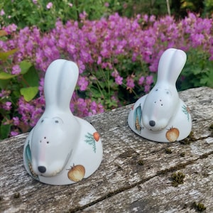 Villeroy & Boch French porcelain cruet or condiment set in the form of rabbits or hares Very attractive with a cute modern vegetable pattern