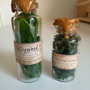 Magic school potions