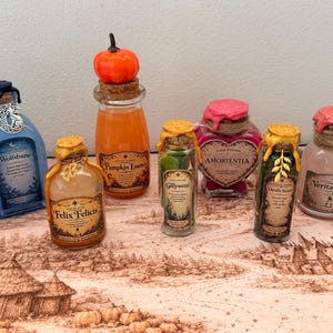 Apothecary Potion Set, Wizard Potion Bottles, Magical Decor, Fantasy Gift, Witchy Shelf Decor, Harry Potter Inspired, Elixir Collection