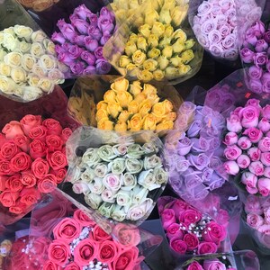 Pictures of Bodega Flowers and elsewhere. My own photos. #photos #photography #flowers #wallpaper