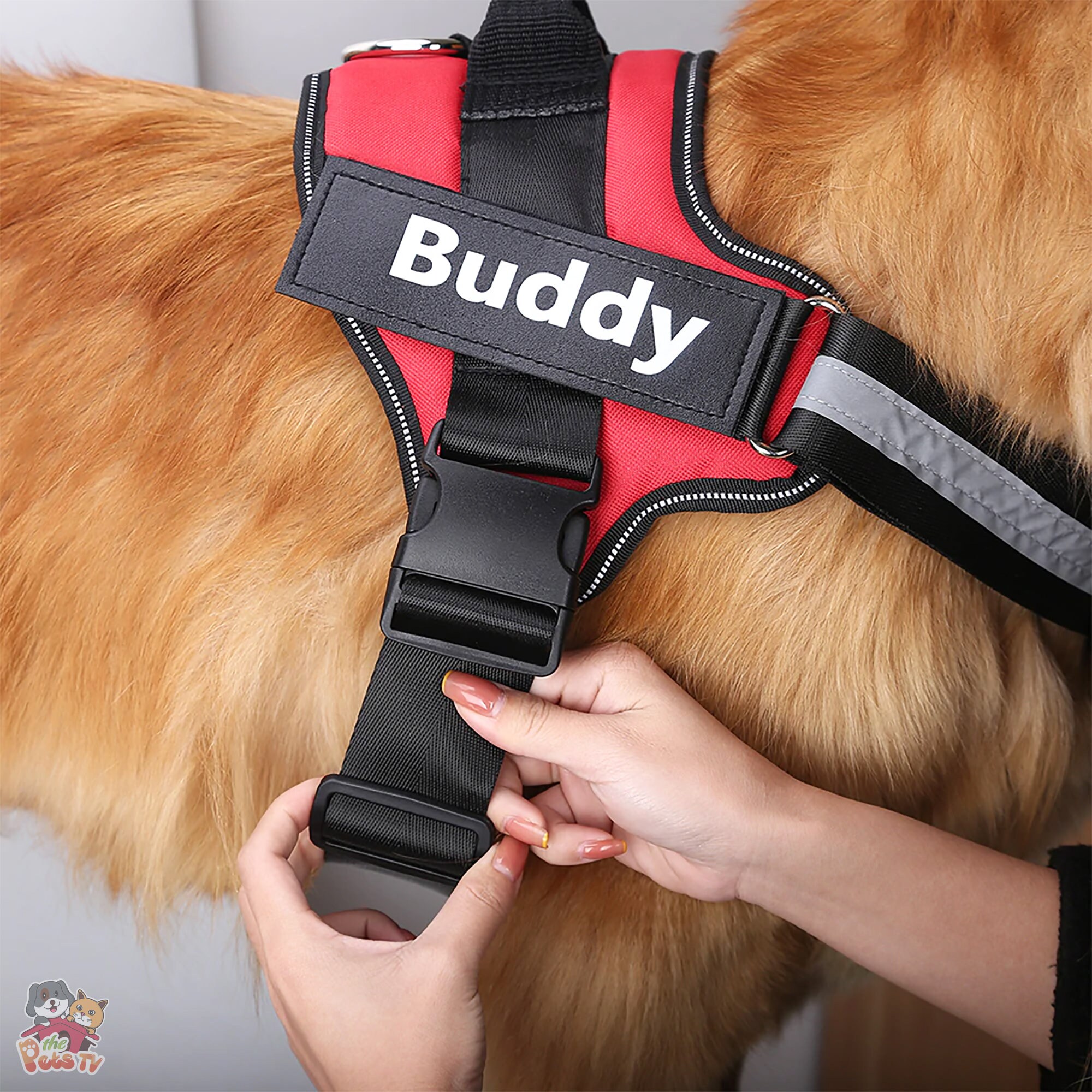 Personalized Dog Harness With Custom Patch Hook Fastener Etsy