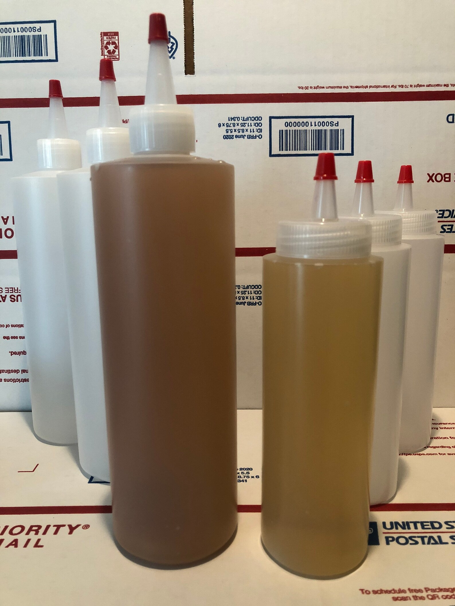 Agar Solution Bottle 8 Oz 250 ml Makes 10 plates Etsy