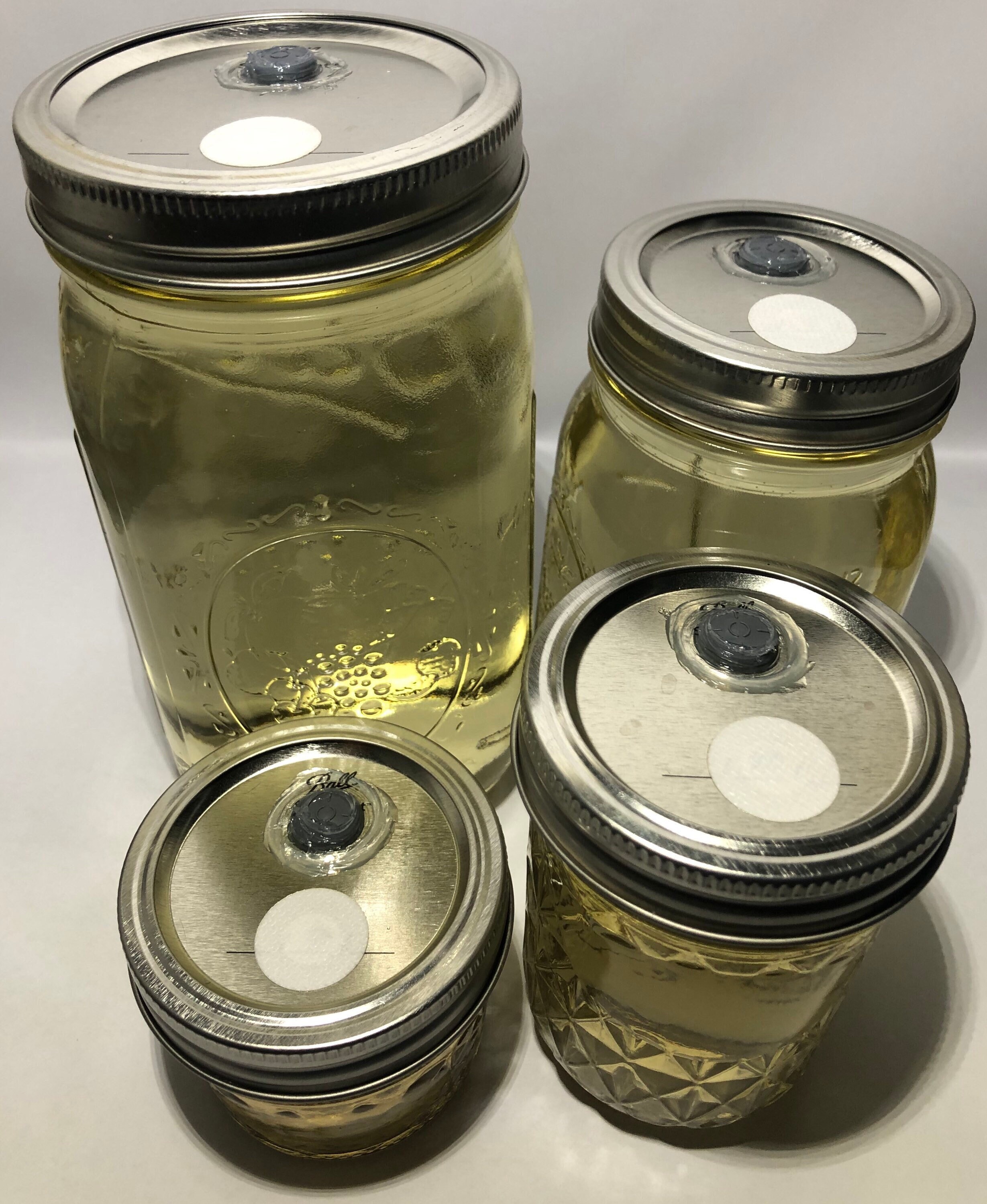 Mushroom Liquid Culture Jars 4 8 16 or 32 Oz Mason Jars Etsy