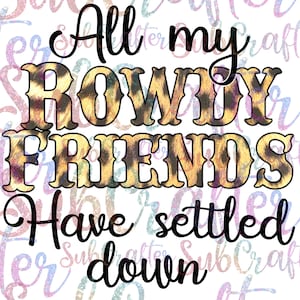 All my rowdy friends have settled down fan art PNG DIGITAL DOWNLOAD Country, Hank Williams Jr.