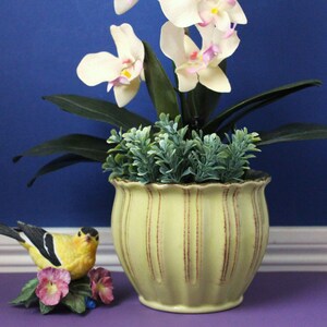 以下が含まれることがあります： 縦の溝と茶色のアクセントラインが入った淡い黄色の陶器製プランター。中心がピンク色の白い蘭と緑の葉が植えられており、ピンクの花の上に止まった黄色と黒の小さな鳥の置物が添えられています。