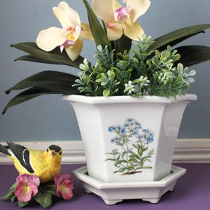 May include: A white hexagonal ceramic planter with a matching saucer, featuring a blue floral botanical illustration on the front. Beside the planter sits a small yellow and black bird figurine perched on a cluster of pink flowers and green leaves.