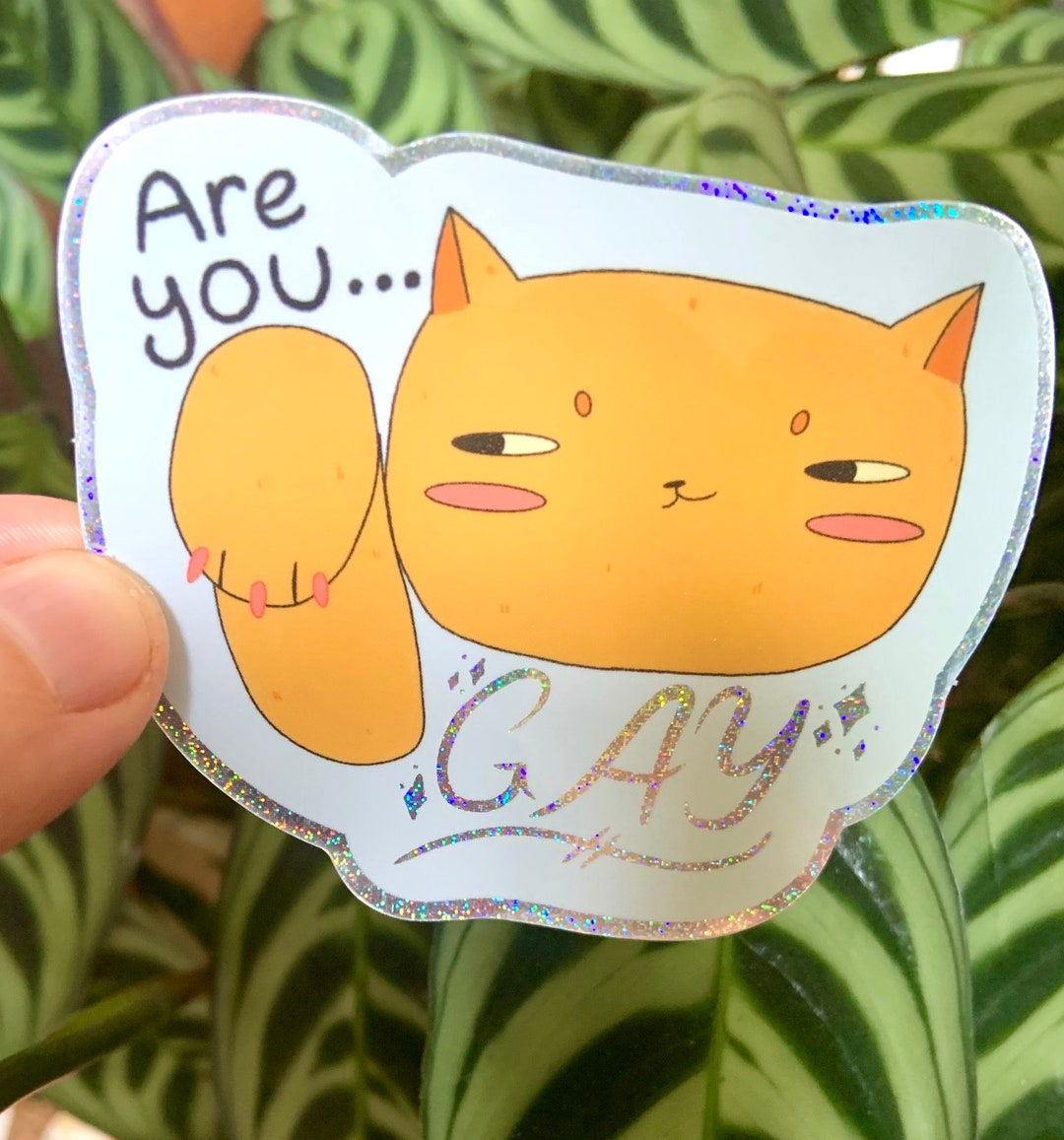 ARE YOU… GAY * Lgbtq+ Trans Pride Flag Glitter Sparkly Sticker - Etsy