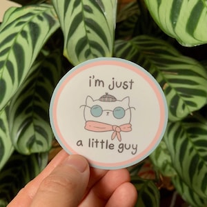 May include: A round sticker with a white background and a blue and pink border. The sticker features a cartoon cat wearing a blue beret, blue glasses, and a pink scarf. The text "I'm just a little guy" is written below the cat.
