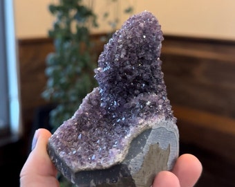 Amethyst Cluster