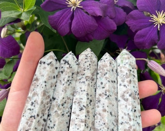 May include: Six white and gray granite crystal points with a speckled pattern. The points are arranged in a row and are held in a hand.
