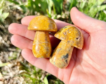 Yellow Crazy Agate Mushroom