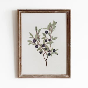 Huckleberry Sprig | Vintage Botanical Watercolor Painting | Seasonal Art | Digital Download | 372