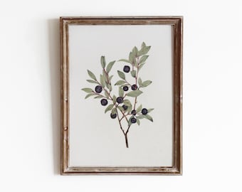 Ramita de arándano / Pintura de acuarela botánica vintage / Arte de temporada / Descarga digital / 372