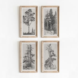 1: 2 Baumätzung 4er Set | Vintage Schwarz-Weiß-Skizze Kunst | Natur Galerie Interior Design Wand Kunstwerk | Digitaler Download | 859