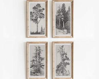 1:2 Tree Etching Set of 4 | Vintage Black and White Sketch Art | Nature Gallery Interior Design Wall Artwork | Digital Download | 859