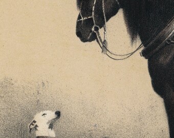 馬と犬のイラスト | ヴィンテージ動物の親友アートワーク