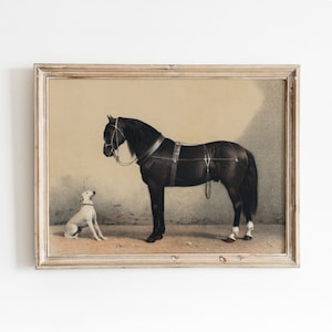 Horse + Dog Illustration | Vintage Animal Best Friend Artwork | Neutral Decor Painting | DIGITAL DOWNLOAD | 86