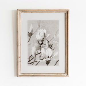 Magnolia Blossoms | Vintage Botanical Sketch | Black and White Art | Floral Illustration | Digital Download | 647