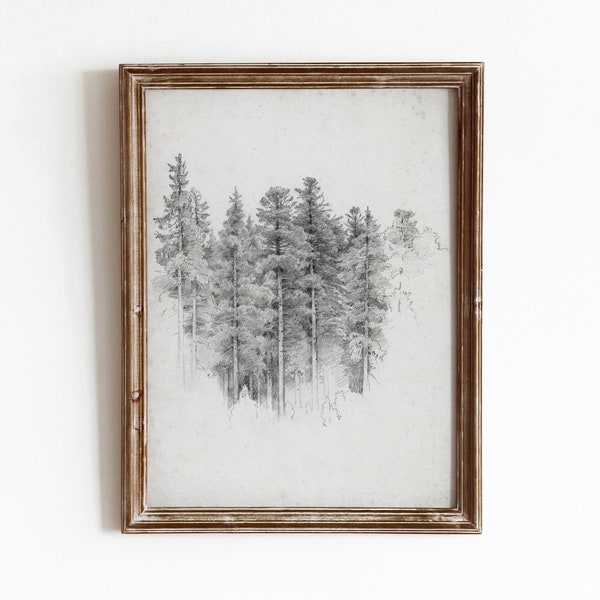 Tree Study Sketch | Vintage Black and White Forest Art | Neutral Decor Drawing | Digital Download | 415